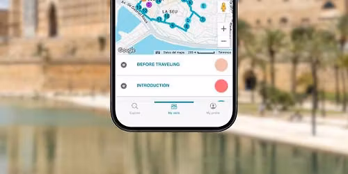 TOP Palma de Mallorca: Visita Guiada privada con tu m\u00f3vil