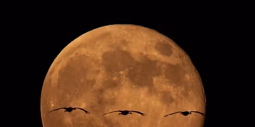 Darules a szegedi Feh\u00e9r-t\u00f3n\u00e1l 11.02.