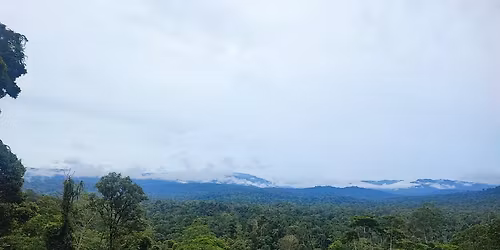 Borneo - Utracony \u015awiat