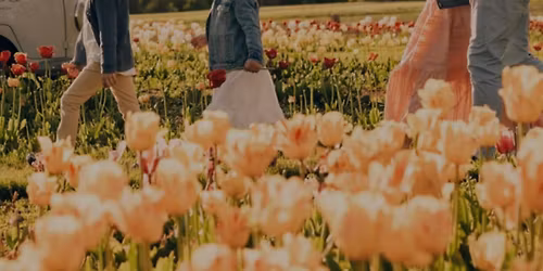 Mother's Day Weekend in Kohler, WI