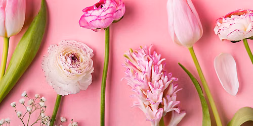 Bloom In Motion