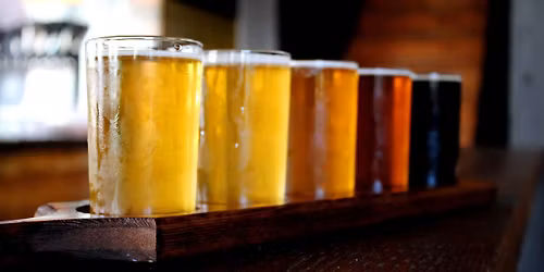 Pints and Pages: The Basics of Beer
