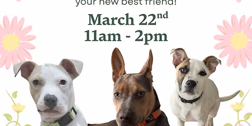 Love is Blooming Adoption Event