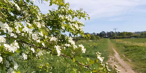 Volunteer Work Party - Bartonsham Meadows