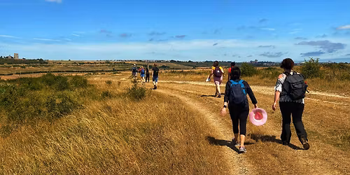 Hike to West Wittering Beach and East sand dunes