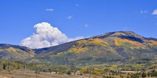 Parking The Nutcracker - Stateline