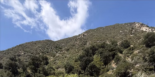 Guided Wellness Hike