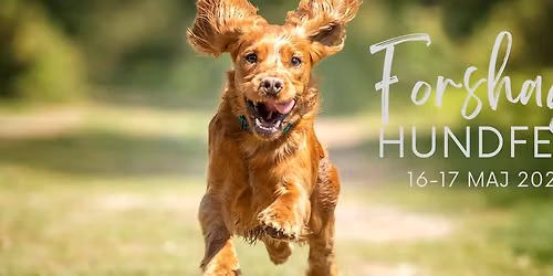 Forshaga Hundfest 2026