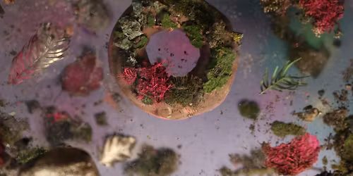 Food Film Fest Outgrow the system - Denderende Donderdagen