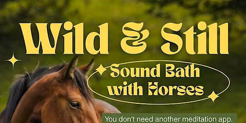 Sound Bath with Horses