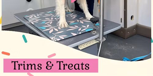 Trims & Treats