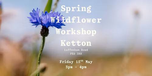 Wildflower Workshop - Tithe Green Ketton