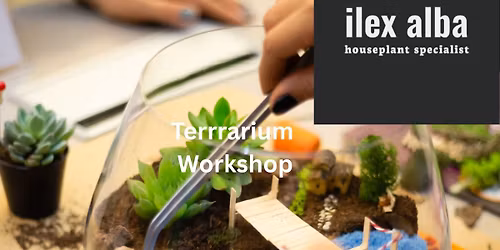 Melting Pot: Create a Terrarium Workshop