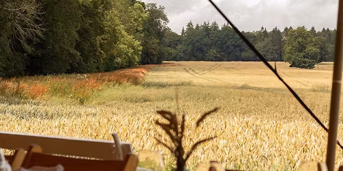 Chiltern Food and Drink Safari - November 2025