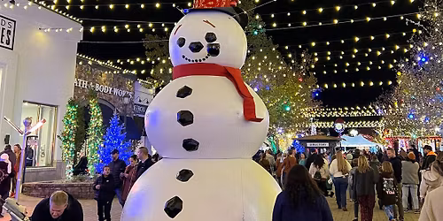 Lighting of Riverwoods 2025