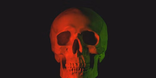 MINDMELTER