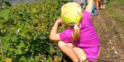 Farm-to-Table Kids\u2019 Cooking Camps (June 8-12)