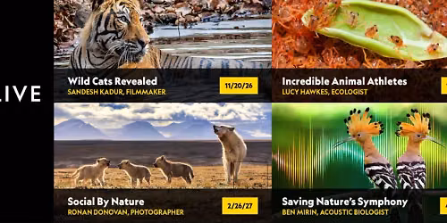 National Geographic Live - Incredible Animal Athletes with Lucy Hawkes at Performing Arts Center San Luis Obispo