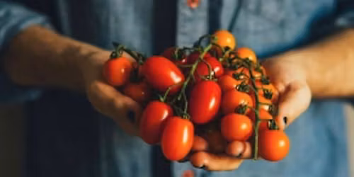 Fresh Market at Wiregrass