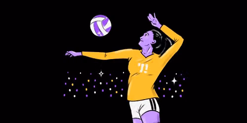Evansville Purple Aces at Drake Bulldogs Womens Volleyball