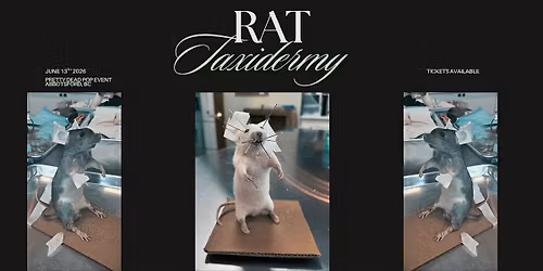 Rat Taxidermy Workshop - Abbotsford, BC