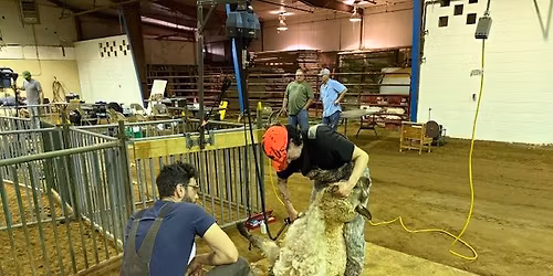 TSPA Shearing School