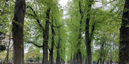 Southern Cemetery Guided Tour