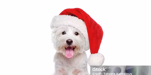 Santa Paws!