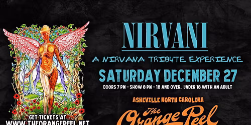 Nirvani - A Nirvana Tribute Experience
