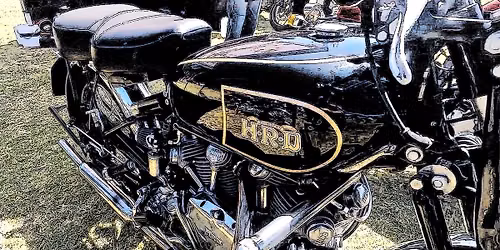 Lions Bike Show