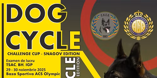  Dogcycle Challenge Cup