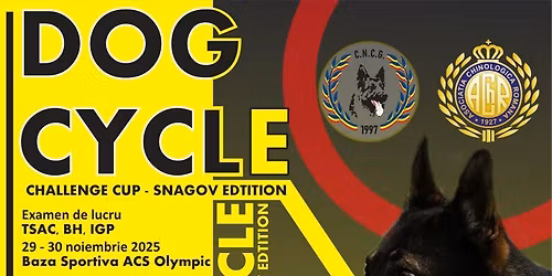 Dogcycle Challenge Cup