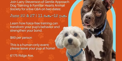Gentle Approach Dog Training