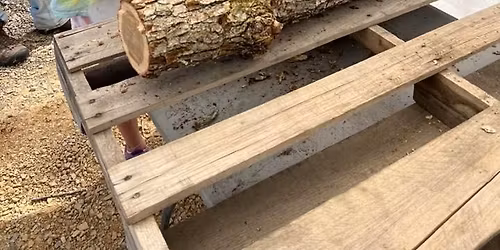 Grow Your Own Gourmet Mushrooms on Logs Workshop Sunday 4\/19