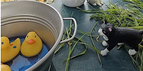 CC: Stay and Play at Orchard Children's Centre