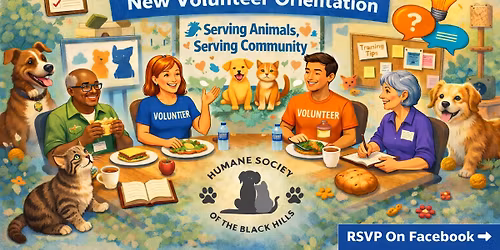 New Volunteer Orientation: Lunch & Learn
