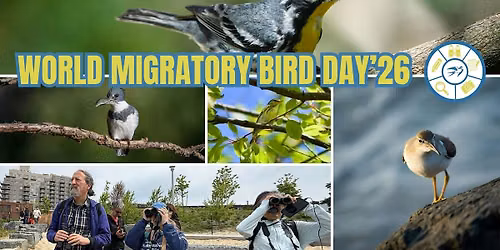 2026 World Migratory Bird Day