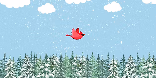 Christmas Bird Count - Marion Carnegie Library