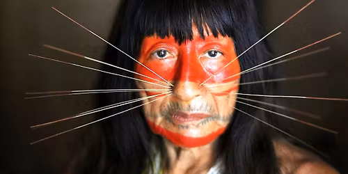 Amazonie - tajemstv\u00ed pralesa