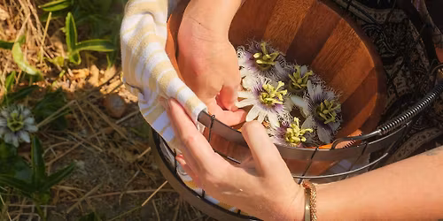 Urban Foraging: MONROVIA