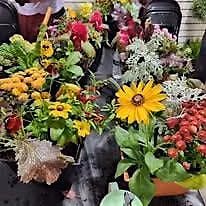 Fall Porch PotWorkshop