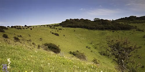 Corporate Wild Work Day: Conservation Day near Lewes, East Sussex