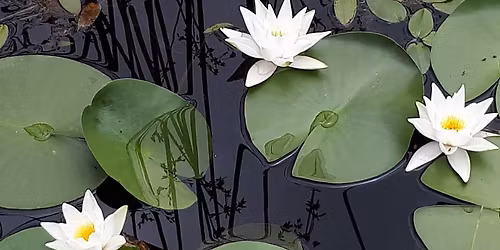 \u054b\u0580\u0561\u0577\u0578\u0582\u0577\u0561\u0576\u0576\u0565\u0580\u056b \u056c\u056b\u0573, \u0531\u057a\u0561\u0580\u0561\u0576\u056b \u057b\u0580\u0561\u0574\u0562\u0561\u0580\u0589