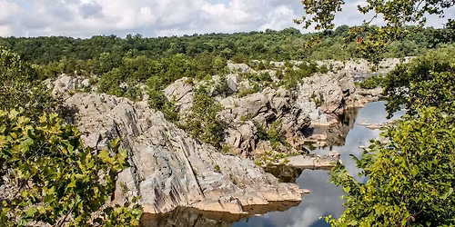 Parking Minus The Bear (18+)