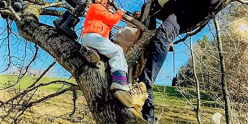 \u2728 Kreativwerkstatt Salzburg: Neues Lernen f\u00fcr kreative K\u00f6pfe \u2728