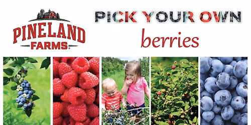Pick Your Own Berries