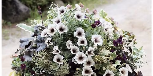 Practical Magic Planters 