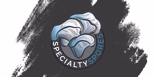 St. Paul Saturday Indoor Farmer Market