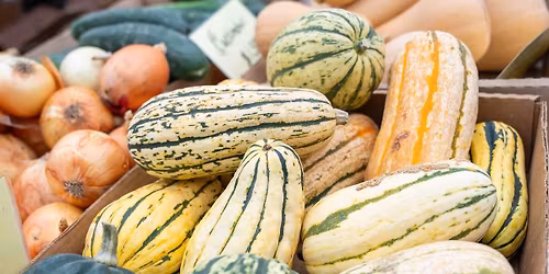 Tower Grove HOLIDAY Farmers' Market