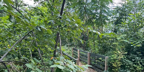Mindfulness in the Garden